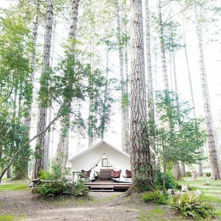Mendocino Grove Hotel Ngoại thất bức ảnh